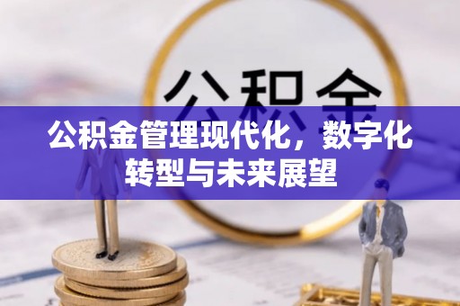 达日公积金管理现代化，数字化转型与未来展望