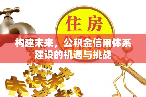 达日构建未来，公积金信用体系建设的机遇与挑战