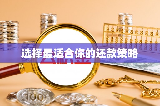 达日选择最适合你的还款策略